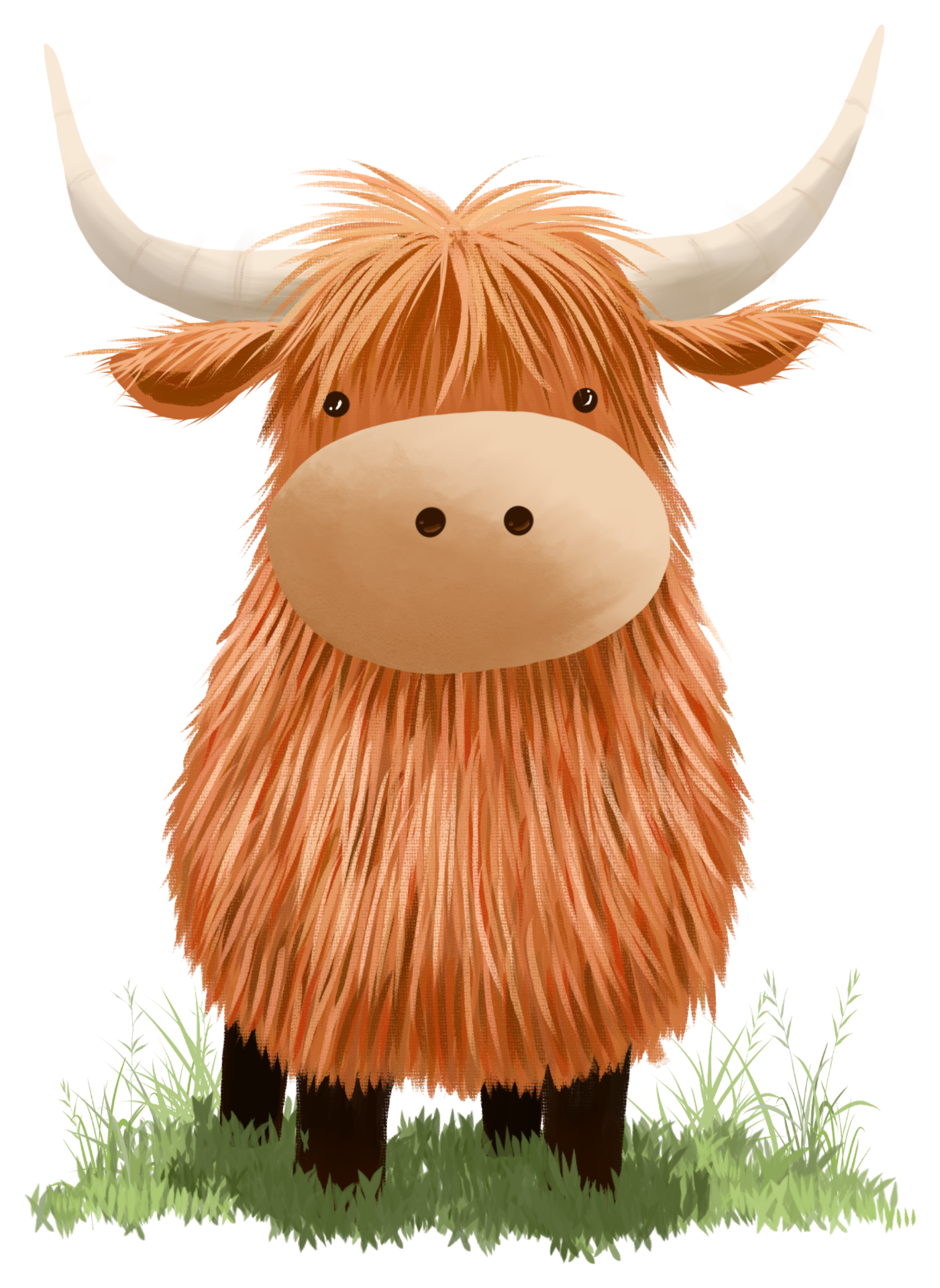 A hand-drawn Highland cow illustration